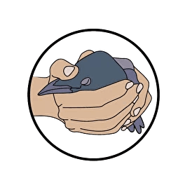 Логотип фонда: Воронье гнездо