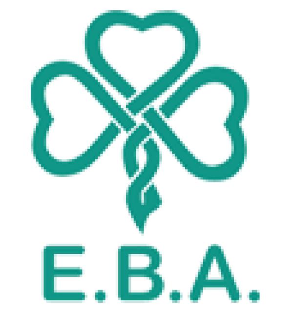 Логотип фонда: ЕВА (Е.В.А)